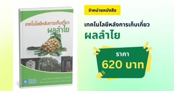 เทคโนโลยีหลังการเก็บเกี่ยวผลลำไย