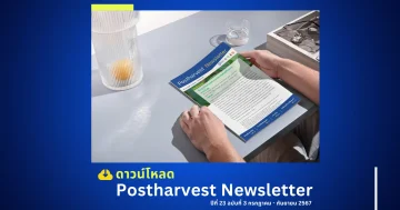 Postharvest Newsletter ปีที่ 23 ฉบับที่ 3 กรกฎาคม - กันยายน 2567