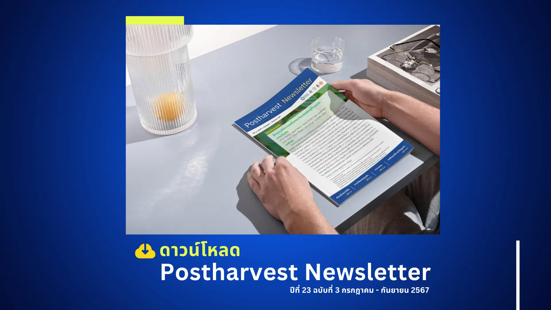 Postharvest Newsletter ปีที่ 23 ฉบับที่ 3 กรกฎาคม - กันยายน 2567